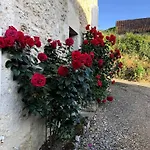 别墅 Charming With Private Pool In Saint-Nazaire-de-Valentane